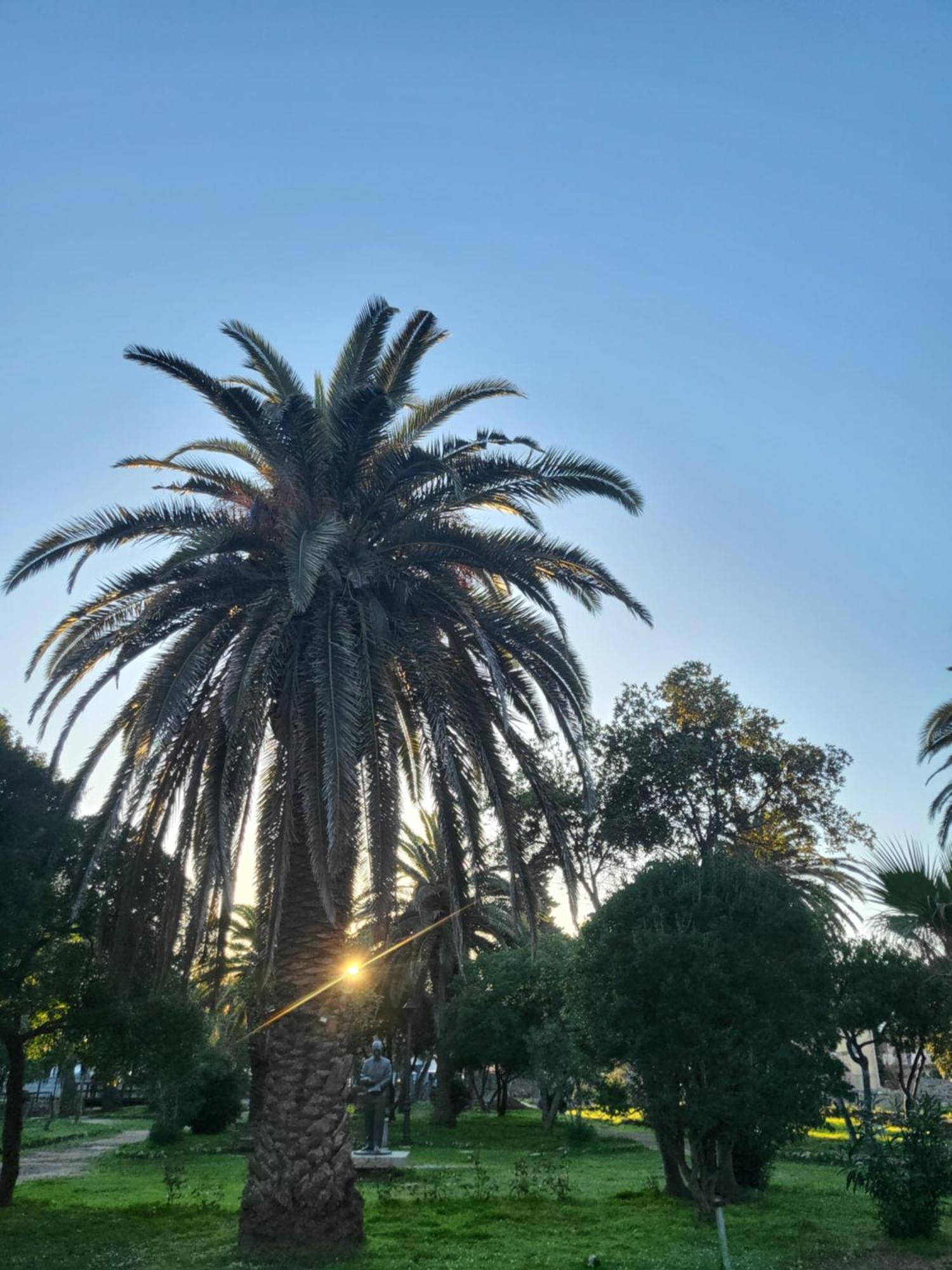 זבלה Plava Laguna מראה חיצוני תמונה
