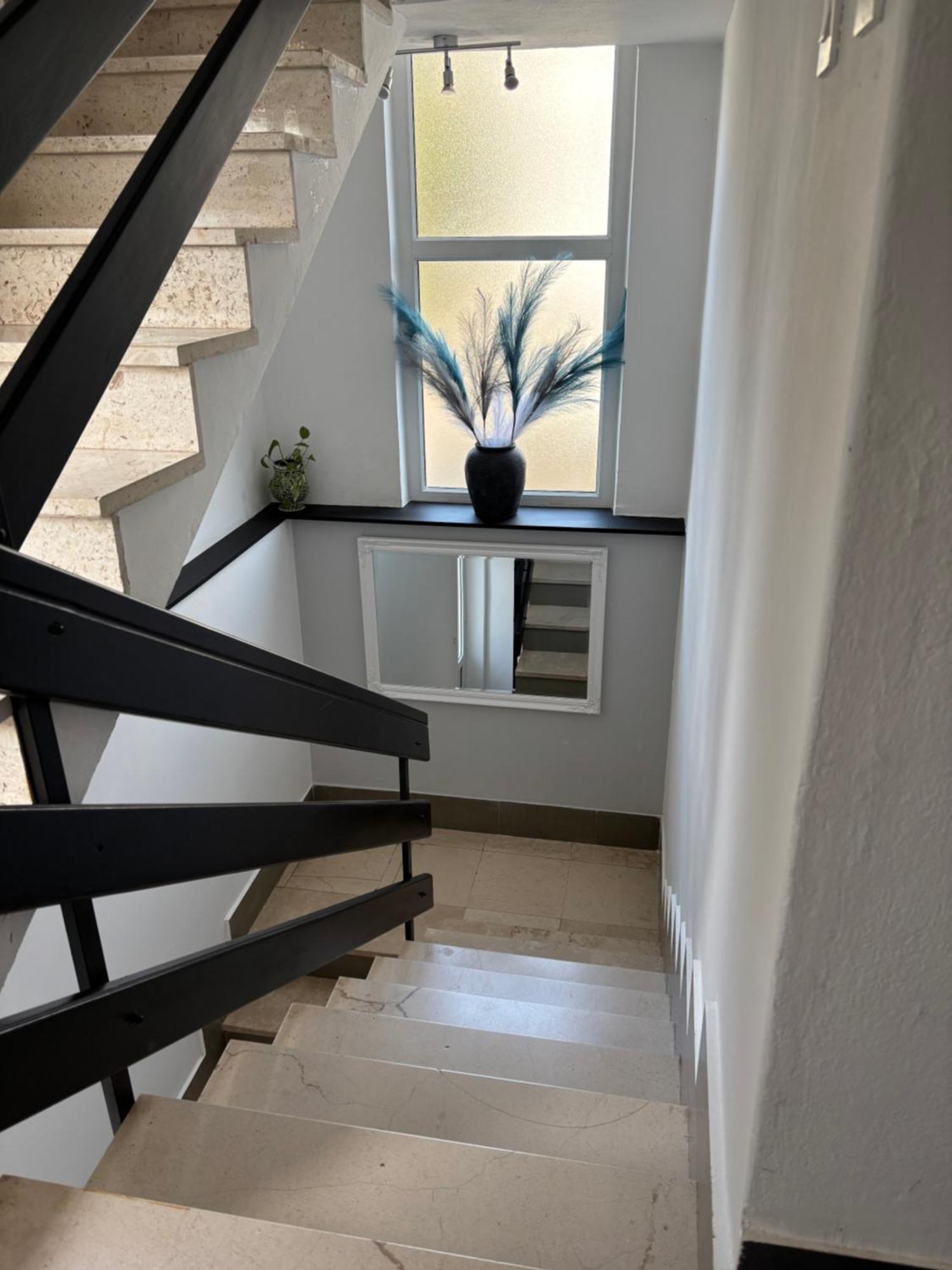 זבלה Plava Laguna מראה חיצוני תמונה